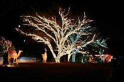 2005-12-22-25.JPG
